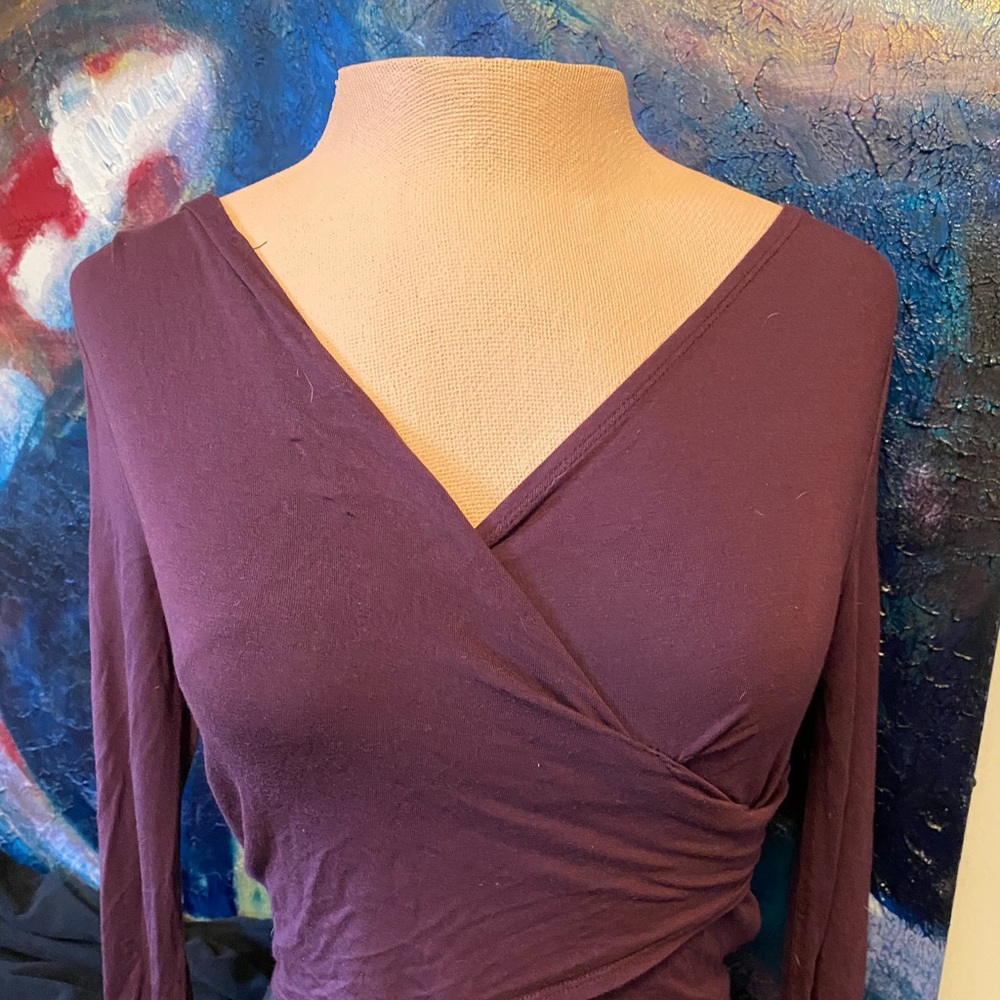 Talula by ARITZIA xs Crop Burgandy top